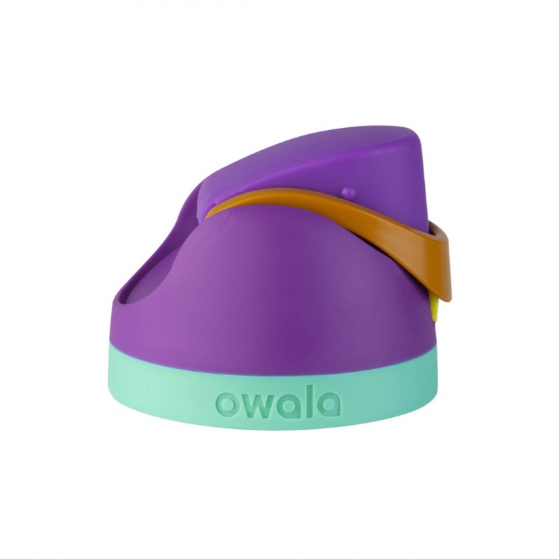 Couvercles De Remplacement Owala FreeSip? Hint of Grape | FNU-21743963