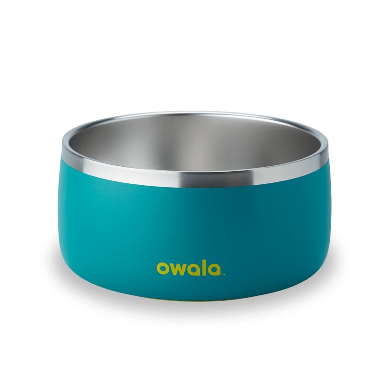 Bol Pour Animaux Owala 6 Cups Turquoise | JEG-86472343