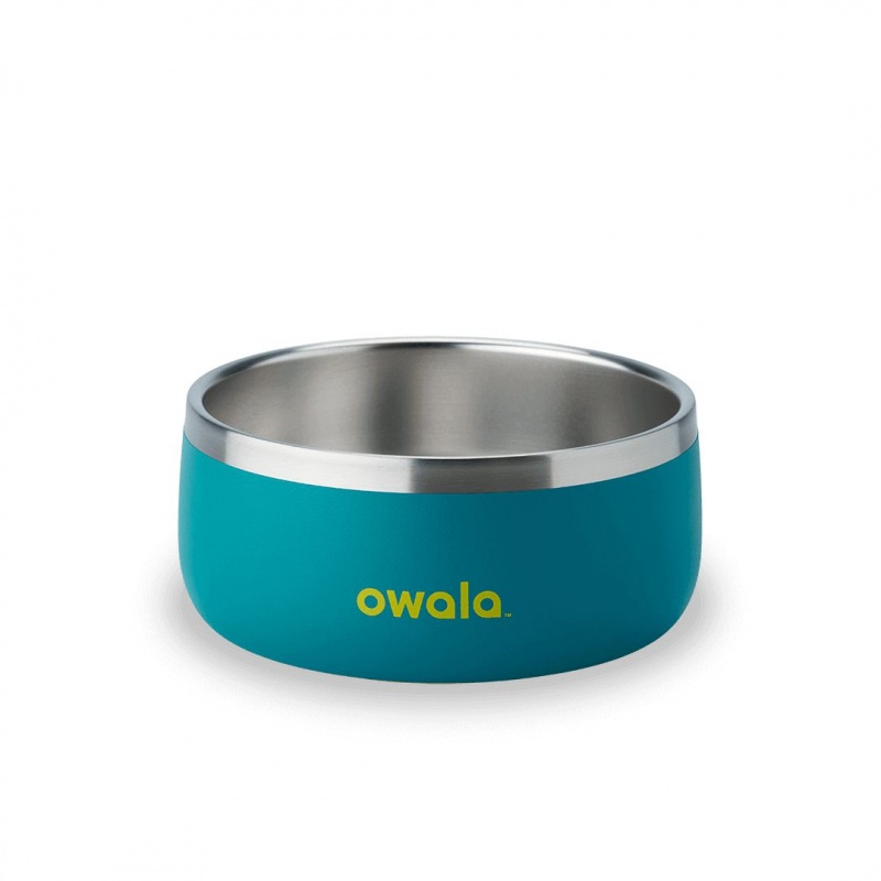 Bol Pour Animaux Owala 3 Cups Turquoise | ACJ-53928746