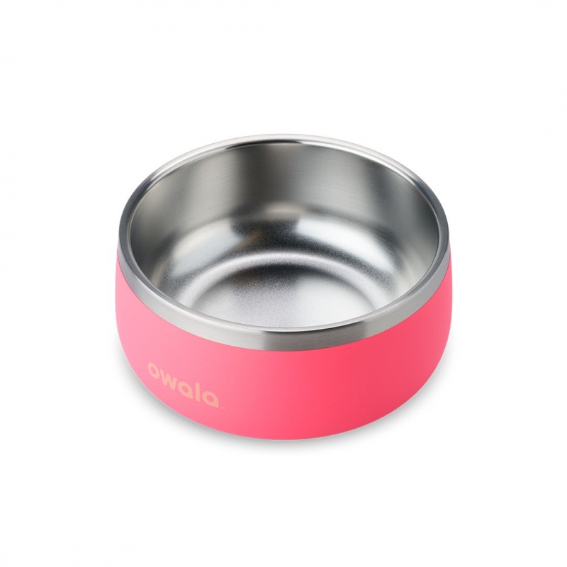 Bol Pour Animaux Owala 3 Cups Hyper Flamingo | EEF-23970832