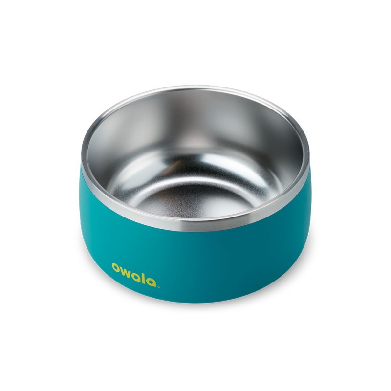 Bol Pour Animaux Owala 6 Cups Turquoise | JEG-86472343