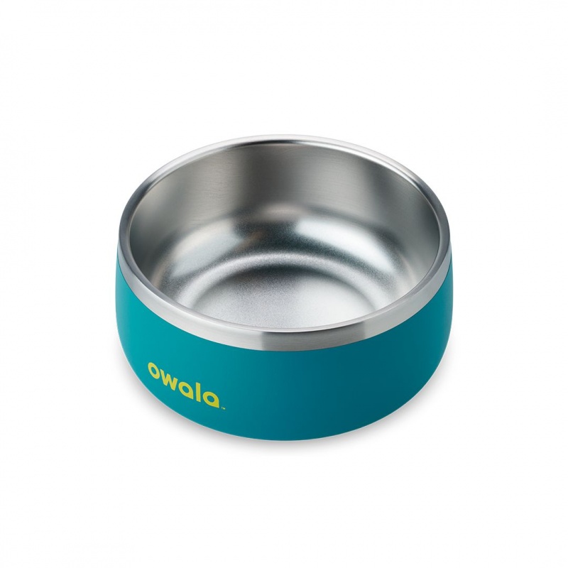 Bol Pour Animaux Owala 3 Cups Turquoise | ACJ-53928746