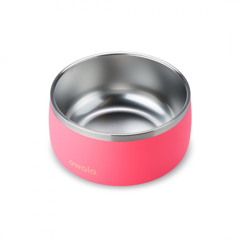 Bol Pour Animaux Owala 6 Cups Hyper Flamingo | UTK-03566460