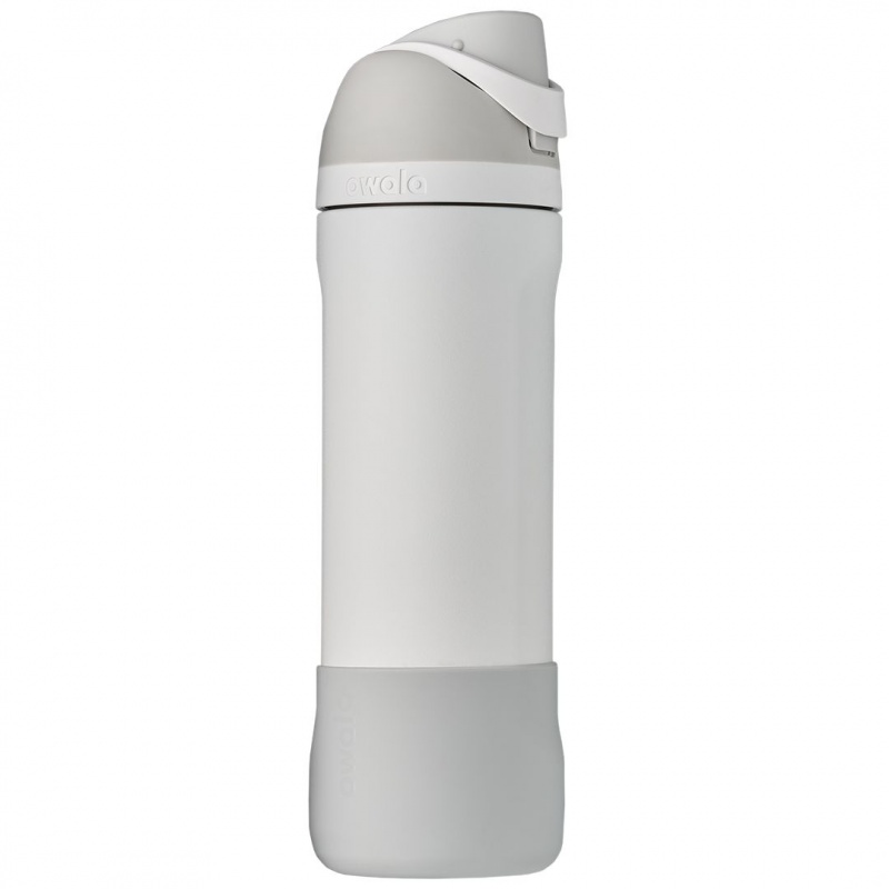 Botte De Bouteille Owala 24oz Silicone Grise | CHL-07140137